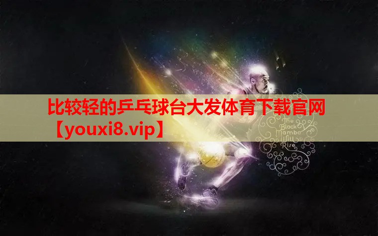 比较轻的乒乓球台大发体育下载官网