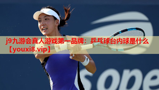 乒乓球台内球是什么