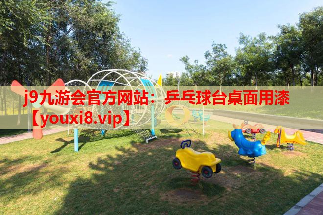 乒乓球台桌面用漆 乒乓球台桌面用漆