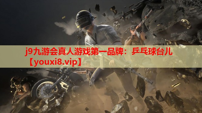乒乓球台儿 乒乓球台儿