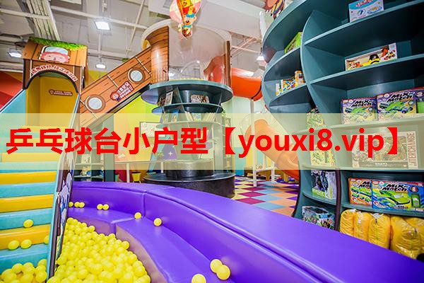 乒乓球台小户型